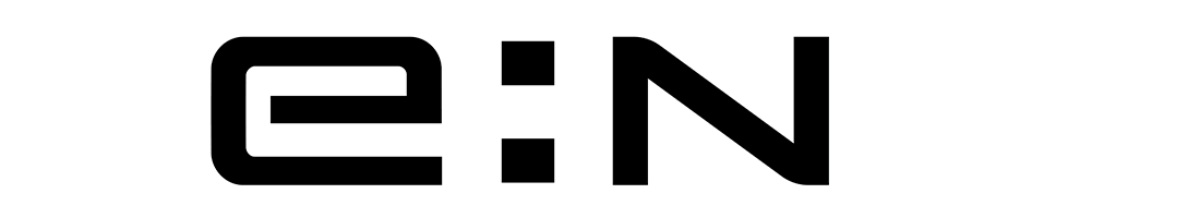 e:N1 brand name
